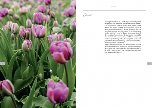 Inhalt Buch Slowflowers Bild Tulpen und Text